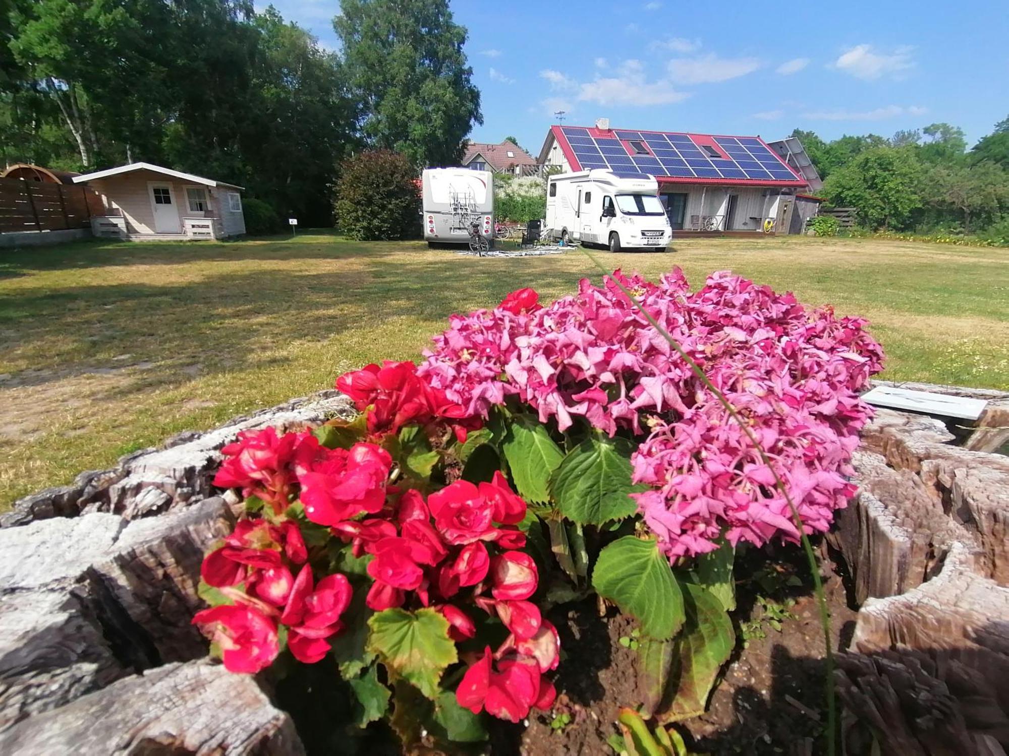 Piibelehe Guest Accommodation Kuressaare Extérieur photo