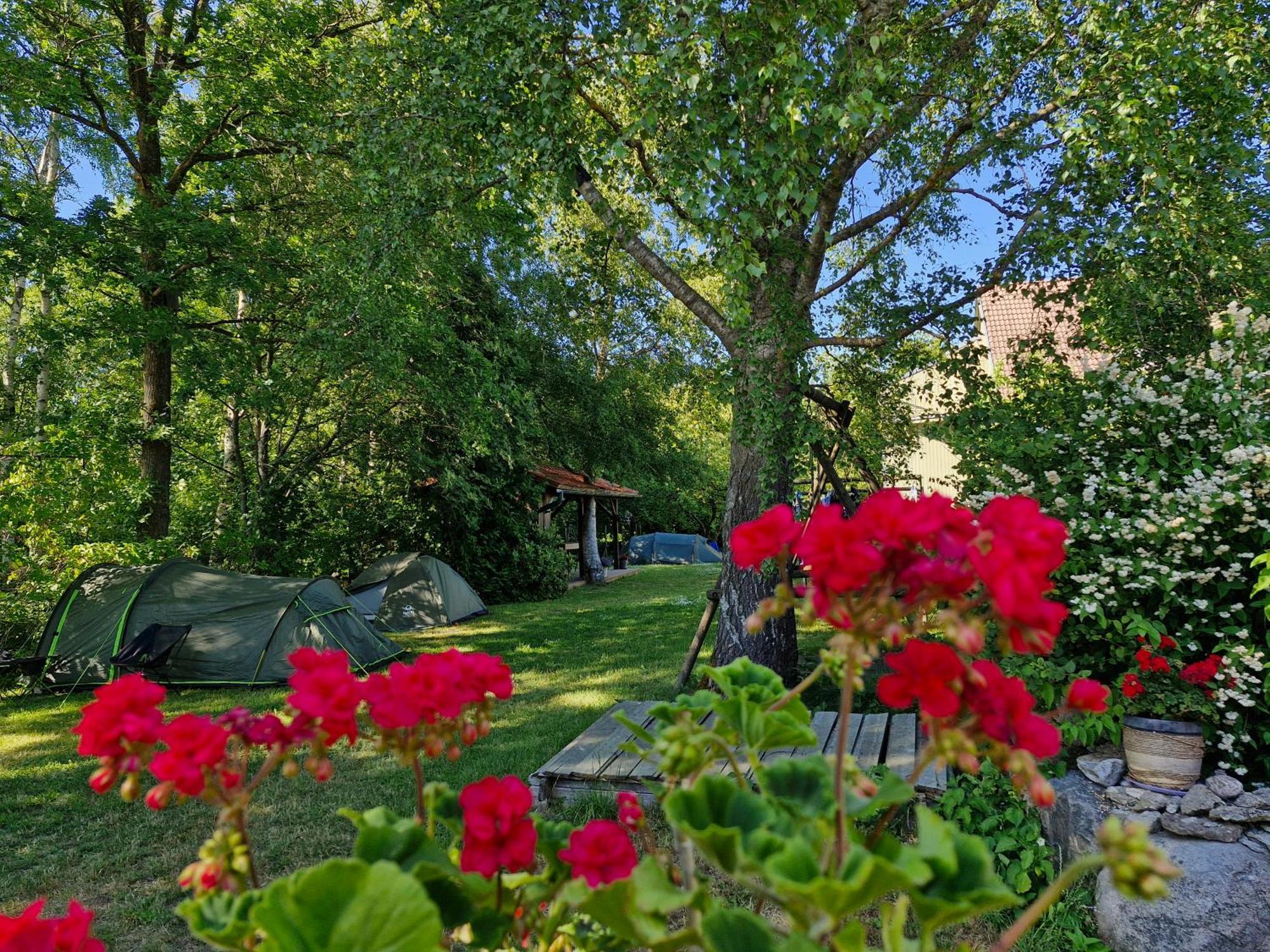 Piibelehe Guest Accommodation Kuressaare Extérieur photo